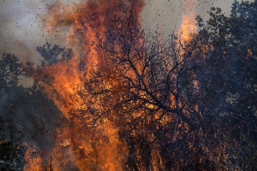 August 3, 2016. Soberanes Fire, Monterey County, California.