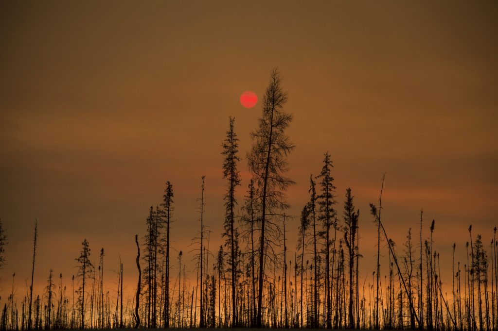 27 June 2015: Wildfire, 130 km southwest of Yellowknife, Northwest Territories, Canada. (c) Earth Vision Institute, 2015. Photo by Stephen Nowland
